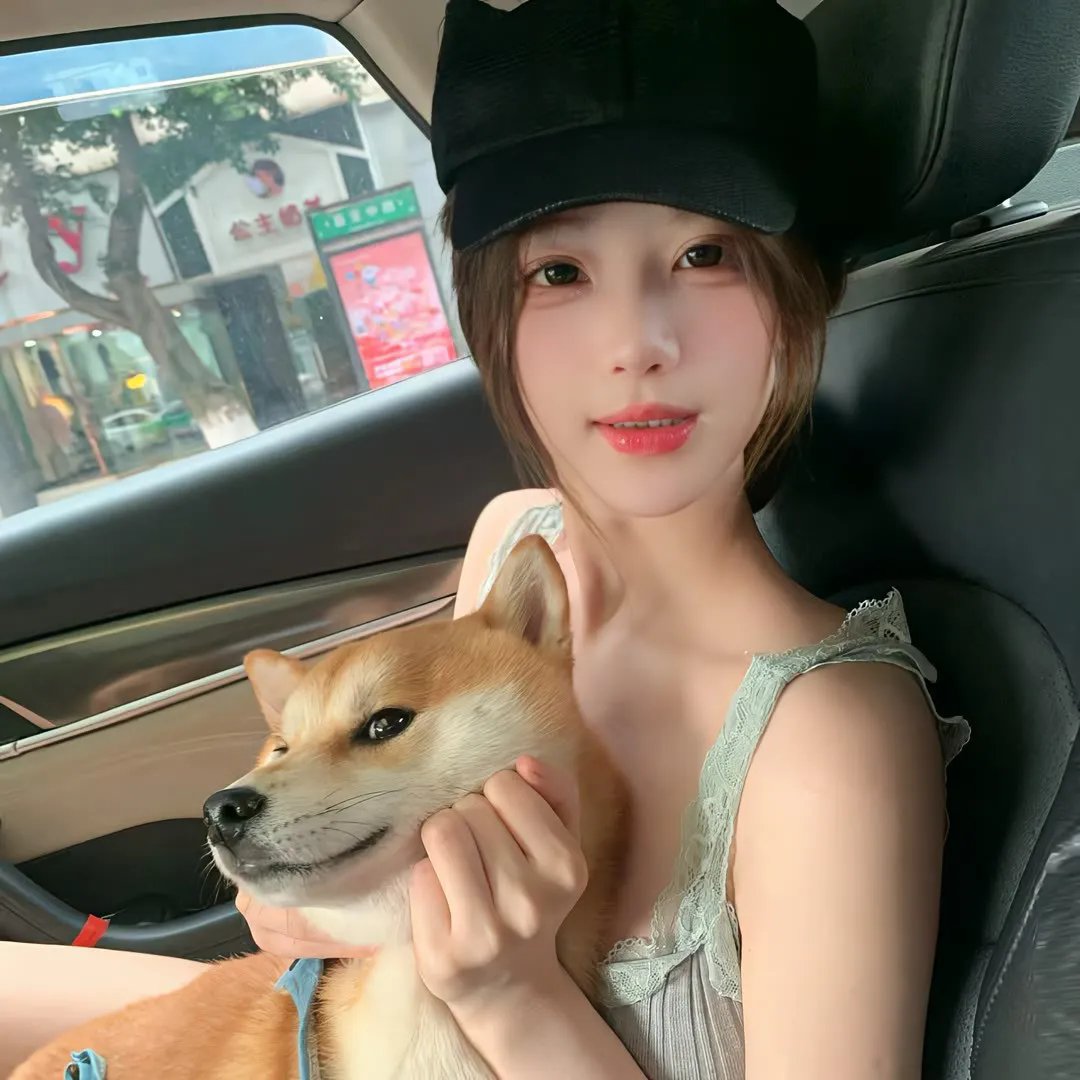 猫贼